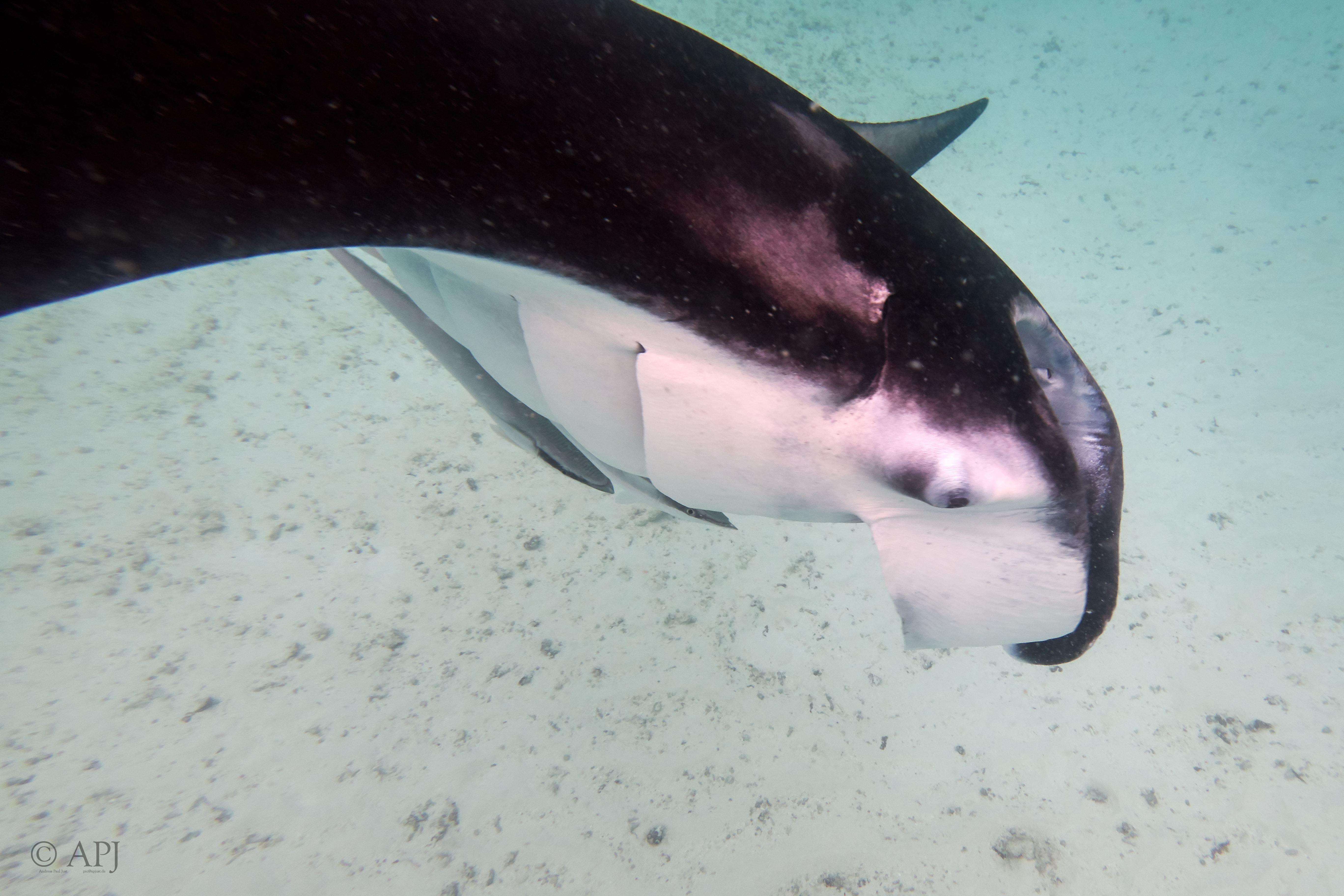 002858 17 08 17  Canon PowerShot G7 X Mark II   Malediven2017